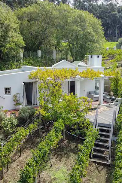 Vineyardsonvictoria Cottage 19