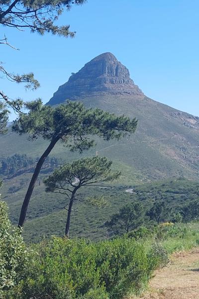 Hout Bay Za 13